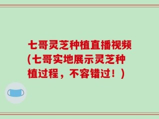 七哥灵芝种植直播视频(七哥实地展示灵芝种植过程，不容错过！)
