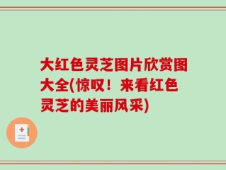 大红色灵芝图片欣赏图大全(惊叹！来看红色灵芝的美丽风采)