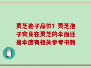 灵芝孢子品位？灵芝孢子究竟在灵芝的伞面还是伞底有相关参考书籍