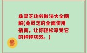 桑灵芝功效做法大全图解(桑灵芝的全面使用指南，让你轻松享受它的种种功效。)