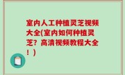 室内人工种植灵芝视频大全(室内如何种植灵芝？高清视频教程大全！)