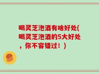 喝灵芝泡酒有啥好处(喝灵芝泡酒的5大好处，你不容错过！)
