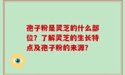 孢子粉是灵芝的什么部位？了解灵芝的生长特点及孢子粉的来源？