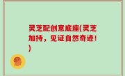 灵芝配创意底座(灵芝加持，见证自然奇迹！)