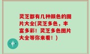 灵芝都有几种颜色的图片大全(灵芝多色，丰富多彩！灵芝多色图片大全等你来看！)