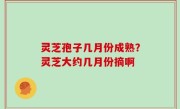 灵芝孢子几月份成熟？灵芝大约几月份摘啊