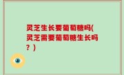 灵芝生长要葡萄糖吗(灵芝需要葡萄糖生长吗？)