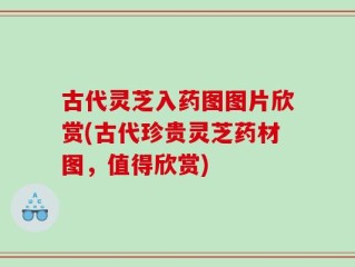 古代灵芝入药图图片欣赏(古代珍贵灵芝药材图，值得欣赏)