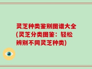 灵芝种类鉴别图谱大全(灵芝分类图鉴：轻松辨别不同灵芝种类)