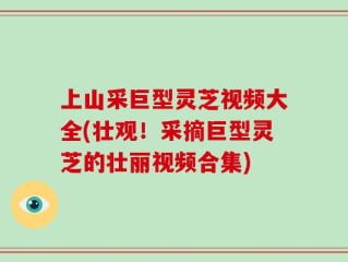 上山采巨型灵芝视频大全(壮观！采摘巨型灵芝的壮丽视频合集)