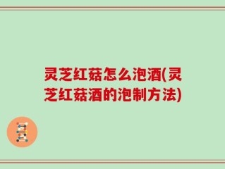 灵芝红菇怎么泡酒(灵芝红菇酒的泡制方法)