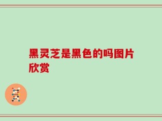 黑灵芝是黑色的吗图片欣赏