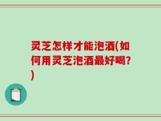灵芝怎样才能泡酒(如何用灵芝泡酒最好喝？)