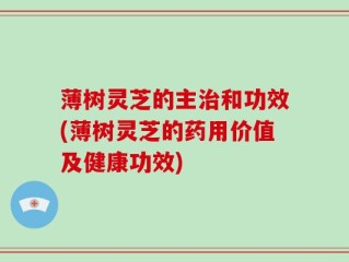 薄树灵芝的主治和功效(薄树灵芝的药用价值及健康功效)
