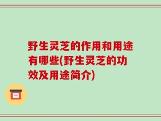 野生灵芝的作用和用途有哪些(野生灵芝的功效及用途简介)