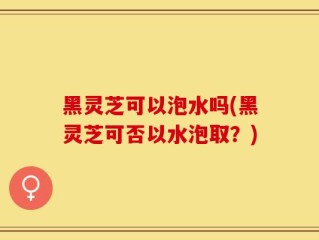 黑灵芝可以泡水吗(黑灵芝可否以水泡取？)
