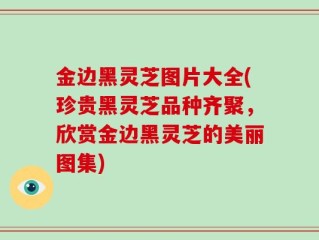 金边黑灵芝图片大全(珍贵黑灵芝品种齐聚，欣赏金边黑灵芝的美丽图集)