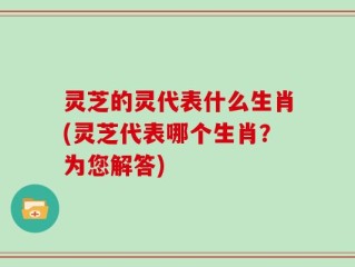 灵芝的灵代表什么生肖(灵芝代表哪个生肖？为您解答)