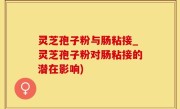 灵芝孢子粉与肠粘接_灵芝孢子粉对肠粘接的潜在影响)