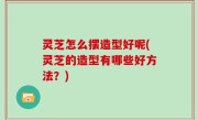 灵芝怎么摆造型好呢(灵芝的造型有哪些好方法？)