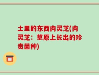 土里的东西肉灵芝(肉灵芝：草原上长出的珍贵菌种)