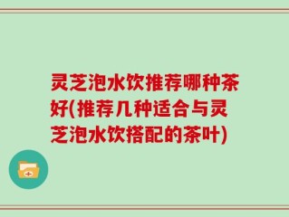 灵芝泡水饮推荐哪种茶好(推荐几种适合与灵芝泡水饮搭配的茶叶)