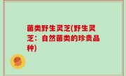 菌类野生灵芝(野生灵芝：自然菌类的珍贵品种)