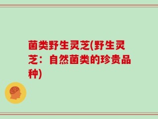 菌类野生灵芝(野生灵芝：自然菌类的珍贵品种)