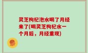 灵芝枸杞泡水喝了月经来了(喝灵芝枸杞水一个月后，月经重现)