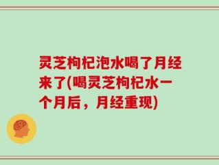 灵芝枸杞泡水喝了月经来了(喝灵芝枸杞水一个月后，月经重现)