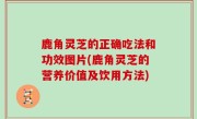 鹿角灵芝的正确吃法和功效图片(鹿角灵芝的营养价值及饮用方法)