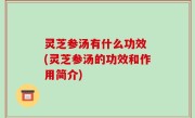 灵芝参汤有什么功效 (灵芝参汤的功效和作用简介)