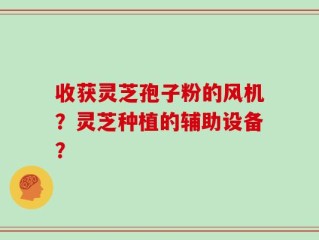 收获灵芝孢子粉的风机？灵芝种植的辅助设备？