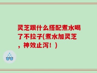 灵芝跟什么搭配煮水喝了不拉子(煮水加灵芝，神效止泻！)