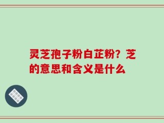灵芝孢子粉白芷粉？芝的意思和含义是什么