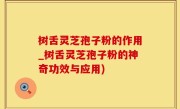 树舌灵芝孢子粉的作用_树舌灵芝孢子粉的神奇功效与应用)