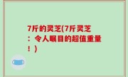 7斤的灵芝(7斤灵芝：令人瞩目的超值重量！)