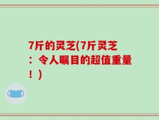 7斤的灵芝(7斤灵芝：令人瞩目的超值重量！)