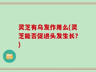 灵芝有乌发作用么(灵芝能否促进头发生长？)