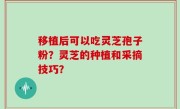 移植后可以吃灵芝孢子粉？灵芝的种植和采摘技巧？
