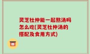 灵芝杜仲能一起熬汤吗怎么吃(灵芝杜仲汤的搭配及食用方式)