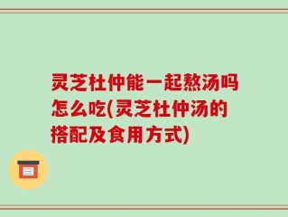 灵芝杜仲能一起熬汤吗怎么吃(灵芝杜仲汤的搭配及食用方式)
