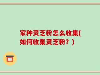 家种灵芝粉怎么收集(如何收集灵芝粉？)