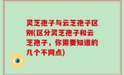 灵芝孢子与云芝孢子区别(区分灵芝孢子和云芝孢子，你需要知道的几个不同点)