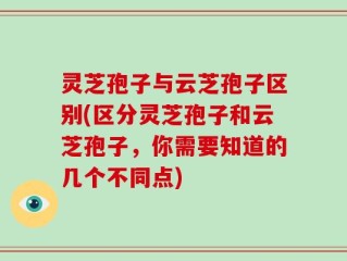 灵芝孢子与云芝孢子区别(区分灵芝孢子和云芝孢子，你需要知道的几个不同点)
