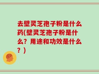 去壁灵芝孢子粉是什么药(壁灵芝孢子粉是什么？用途和功效是什么？)