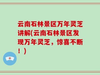 云南石林景区万年灵芝讲解(云南石林景区发现万年灵芝，惊喜不断！)