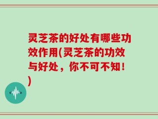 灵芝茶的好处有哪些功效作用(灵芝茶的功效与好处，你不可不知！)