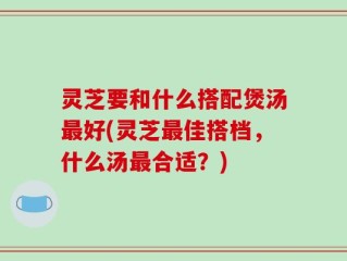 灵芝要和什么搭配煲汤最好(灵芝最佳搭档，什么汤最合适？)