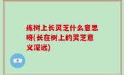 练树上长灵芝什么意思呀(长在树上的灵芝意义深远)